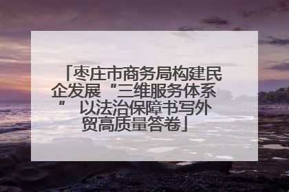 枣庄市商务局构建民企发展“三维服务体系” 以法治保障书写外贸高质量答卷