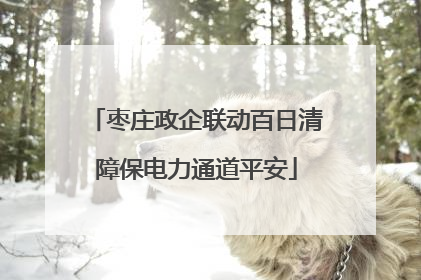 枣庄政企联动百日清障保电力通道平安