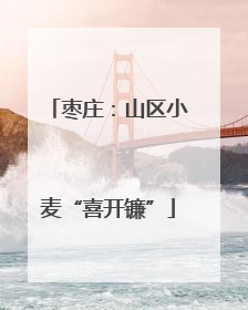枣庄：山区小麦“喜开镰”