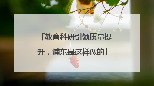 教育科研引领质量提升，浦东是这样做的