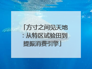 方寸之间见天地：从特区试验田到提振消费引擎