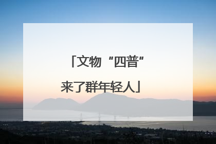 文物“四普”来了群年轻人