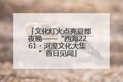文化灯火点亮夏都夜晚——“西海2261・河湟文化大集”首日见闻