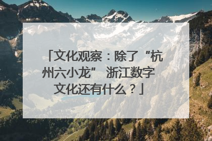 文化观察：除了“杭州六小龙” 浙江数字文化还有什么？