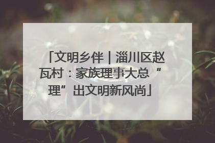 文明乡伴｜淄川区赵瓦村：家族理事大总“理”出文明新风尚