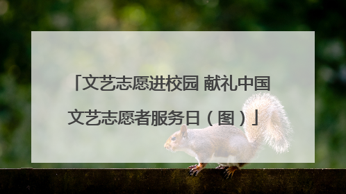 文艺志愿进校园 献礼中国文艺志愿者服务日（图）