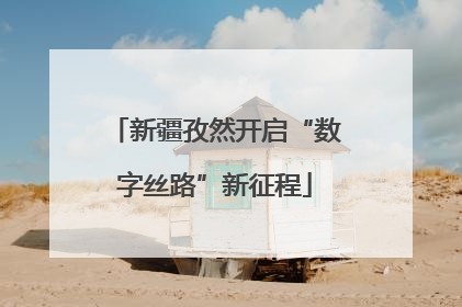 新疆孜然开启“数字丝路”新征程