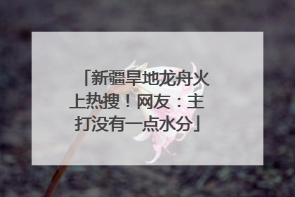 新疆旱地龙舟火上热搜！网友：主打没有一点水分