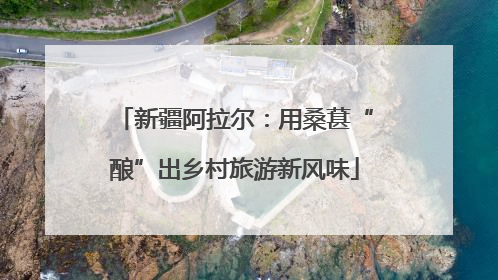 新疆阿拉尔：用桑葚“酿”出乡村旅游新风味