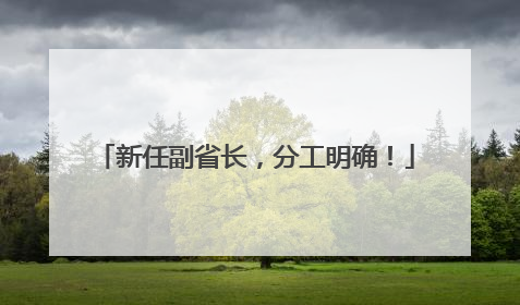 新任副省长，分工明确！