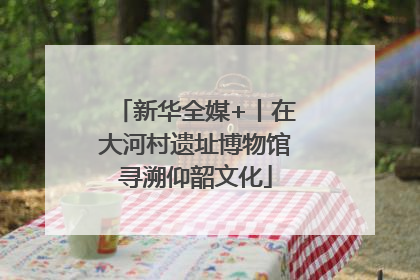 新华全媒+丨在大河村遗址博物馆寻溯仰韶文化