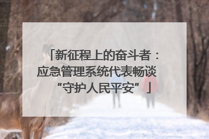 新征程上的奋斗者：应急管理系统代表畅谈“守护人民平安”