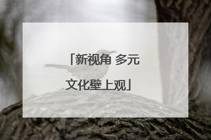 新视角 多元文化壁上观