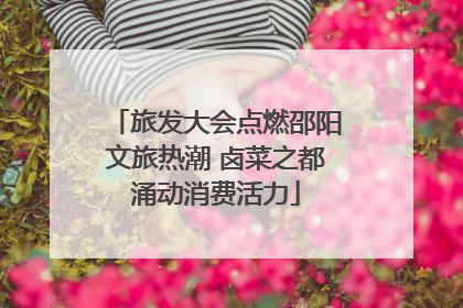 旅发大会点燃邵阳文旅热潮 卤菜之都涌动消费活力