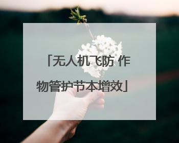 无人机飞防 作物管护节本增效