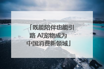 既能陪伴也能引路 AI宠物成为中国消费新领域