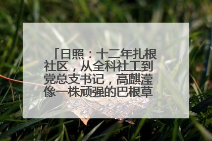 日照：十二年扎根社区，从全科社工到党总支书记，高麒滢像一株顽强的巴根草，把根深深扎进基层的土壤——“巴根草书记”的夏日叙事