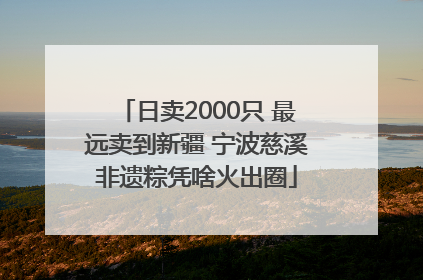 日卖2000只 最远卖到新疆 宁波慈溪非遗粽凭啥火出圈
