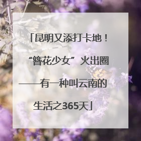昆明又添打卡地！“簪花少女”火出圈——有一种叫云南的生活之365天
