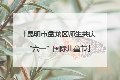 昆明市盘龙区师生共庆“六一”国际儿童节