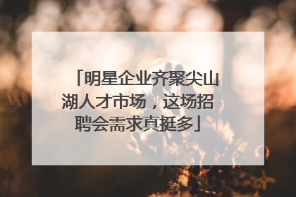 明星企业齐聚尖山湖人才市场，这场招聘会需求真挺多