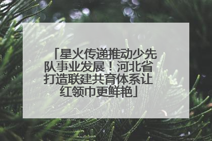 星火传递推动少先队事业发展！河北省打造联建共育体系让红领巾更鲜艳