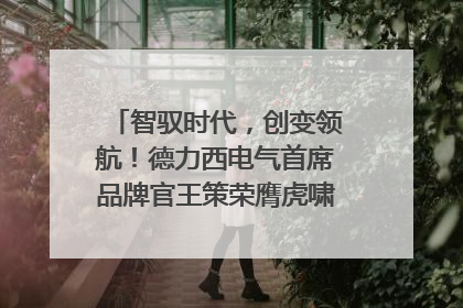 智驭时代，创变领航！德力西电气首席品牌官王策荣膺虎啸奖年度品牌人物