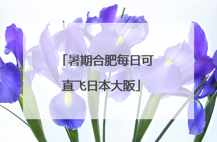 暑期合肥每日可直飞日本大阪