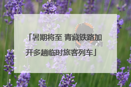 暑期将至 青藏铁路加开多趟临时旅客列车