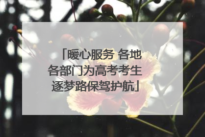 暖心服务 各地各部门为高考考生逐梦路保驾护航