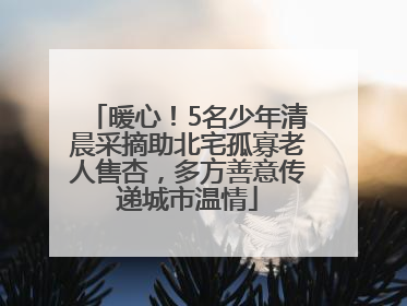暖心！5名少年清晨采摘助北宅孤寡老人售杏，多方善意传递城市温情