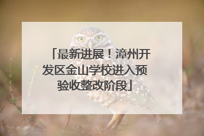 最新进展！漳州开发区金山学校进入预验收整改阶段
