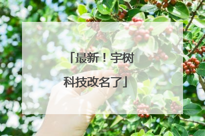 最新！宇树科技改名了