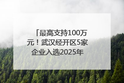 最高支持100万元！武汉经开区5家企业入选2025年度武汉市重点研发计划拟立项项目名单