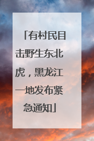 有村民目击野生东北虎，黑龙江一地发布紧急通知