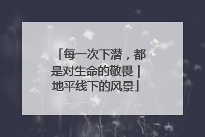 每一次下潜，都是对生命的敬畏｜地平线下的风景