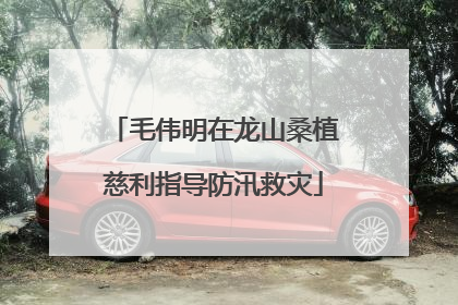 毛伟明在龙山桑植慈利指导防汛救灾