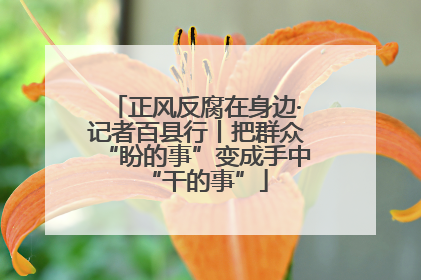 正风反腐在身边·记者百县行丨把群众“盼的事”变成手中“干的事”