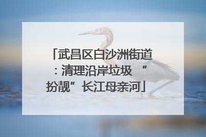 武昌区白沙洲街道：清理沿岸垃圾 “扮靓”长江母亲河