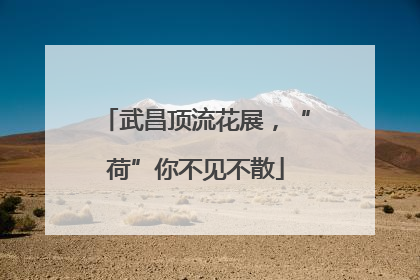 武昌顶流花展，“荷”你不见不散
