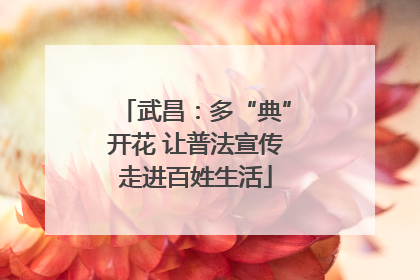 武昌：多“典”开花 让普法宣传走进百姓生活