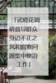 武晓花调研督导群众身边不正之风和腐败问题集中整治工作
