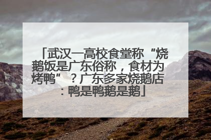 武汉一高校食堂称“烧鹅饭是广东俗称，食材为烤鸭”？广东多家烧鹅店：鸭是鸭鹅是鹅