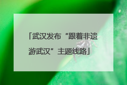 武汉发布“跟着非遗游武汉”主题线路