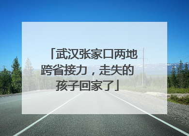 武汉张家口两地跨省接力，走失的孩子回家了