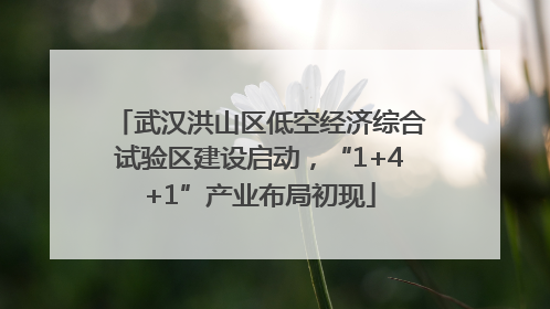 武汉洪山区低空经济综合试验区建设启动，“1+4+1”产业布局初现
