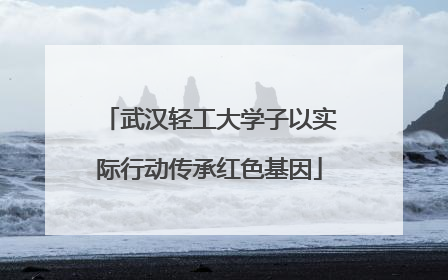 武汉轻工大学子以实际行动传承红色基因