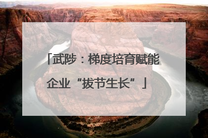 武陟：梯度培育赋能企业“拔节生长”