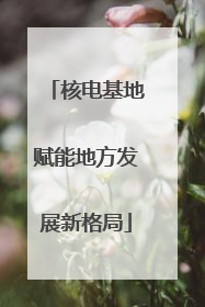核电基地赋能地方发展新格局