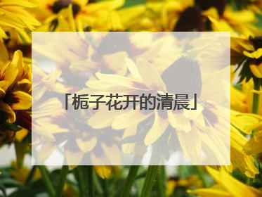 栀子花开的清晨